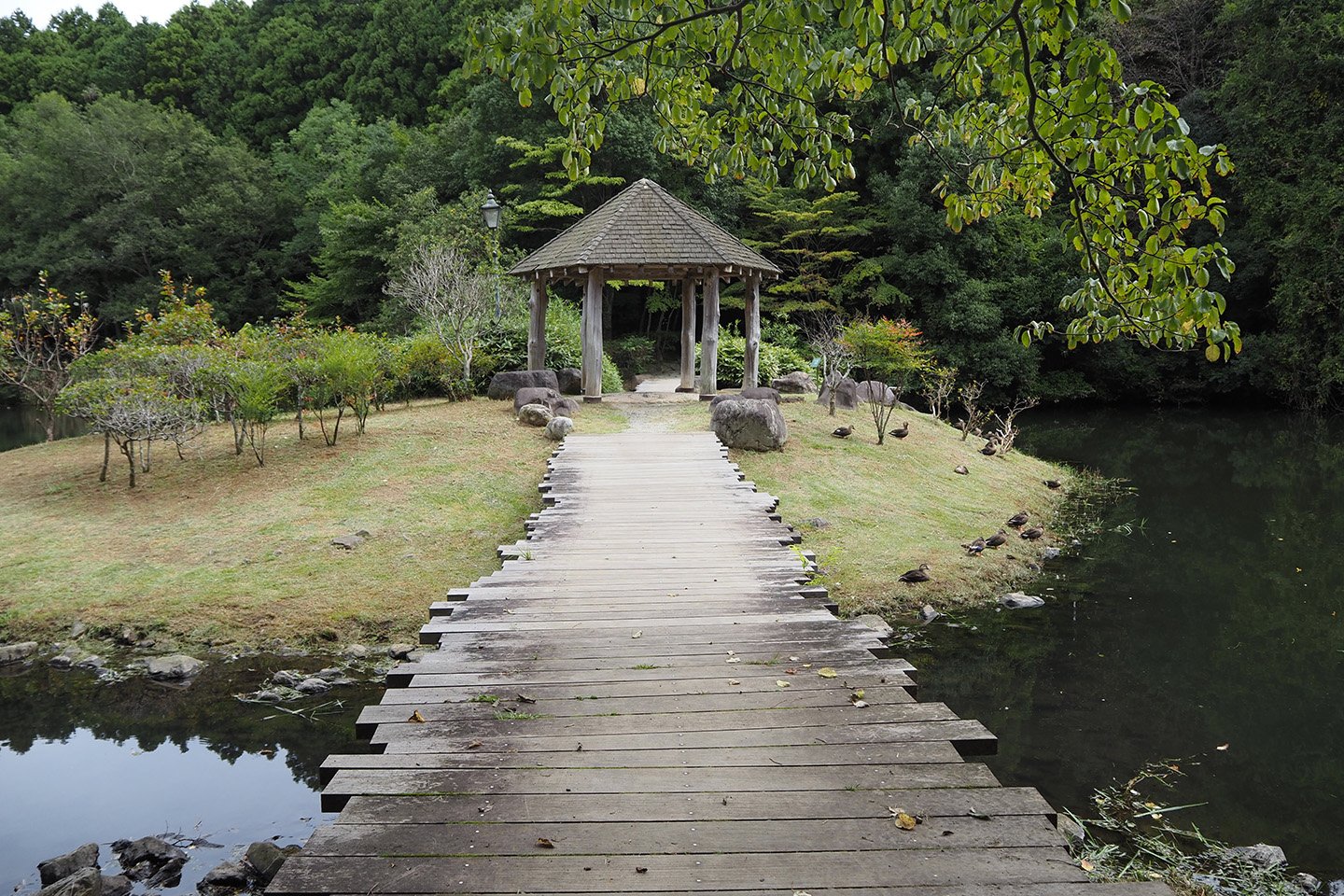 🌳 나나츠도 공원(七ツ洞公園) 이미지 13